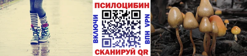 Псилоцибиновые грибы MAGIC MUSHROOMS  Обнинск 